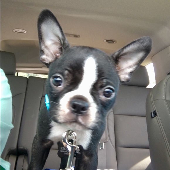 Meet your Posher - Picture 1 of 1